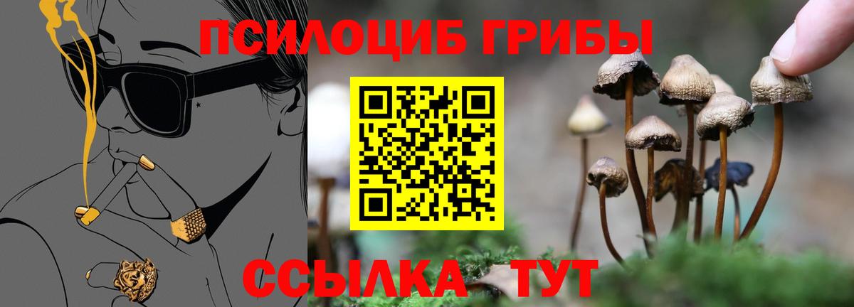 Галлюциногенные грибы GOLDEN TEACHER Павлово